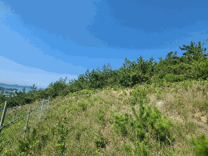 경상남도 거제시 임야