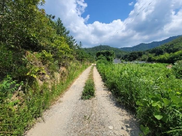 경상남도 거제시 둔덕면 학산리 산42-9 임야 경매 사진 13