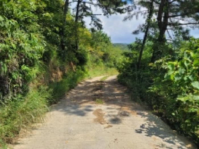 경상남도 거제시 둔덕면 학산리 산42-9 임야 경매 사진 17