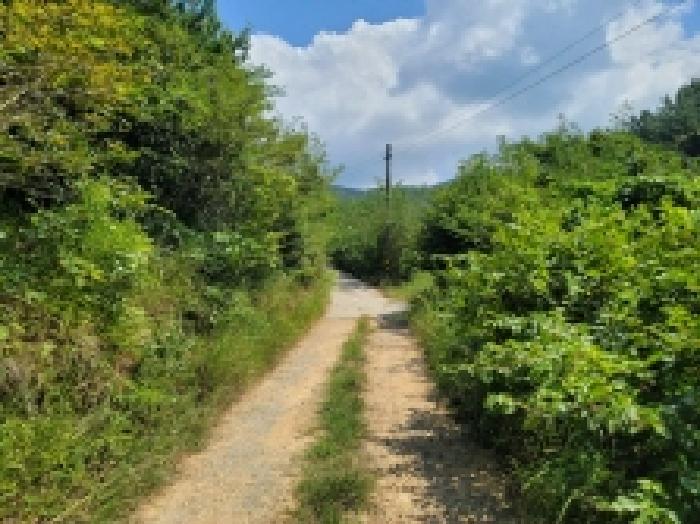 경상남도 거제시 둔덕면 학산리 산42-9 임야 경매 사진 19