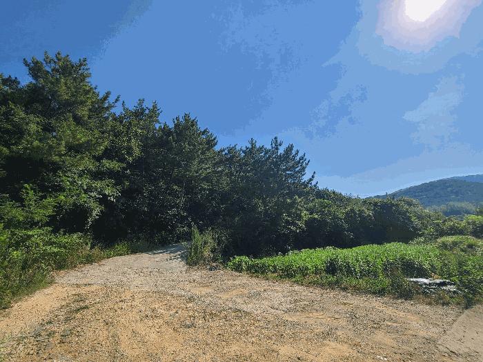경상남도 거제시 둔덕면 학산리 산42-9 임야 경매 사진 2