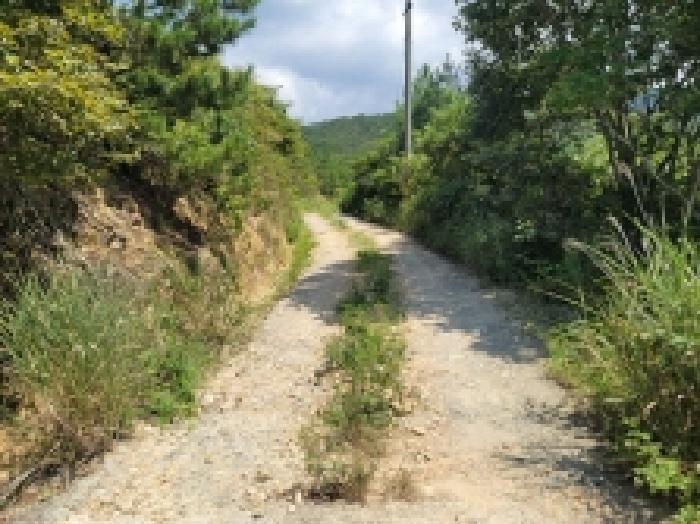 경상남도 거제시 둔덕면 학산리 산42-9 임야 경매 사진 20
