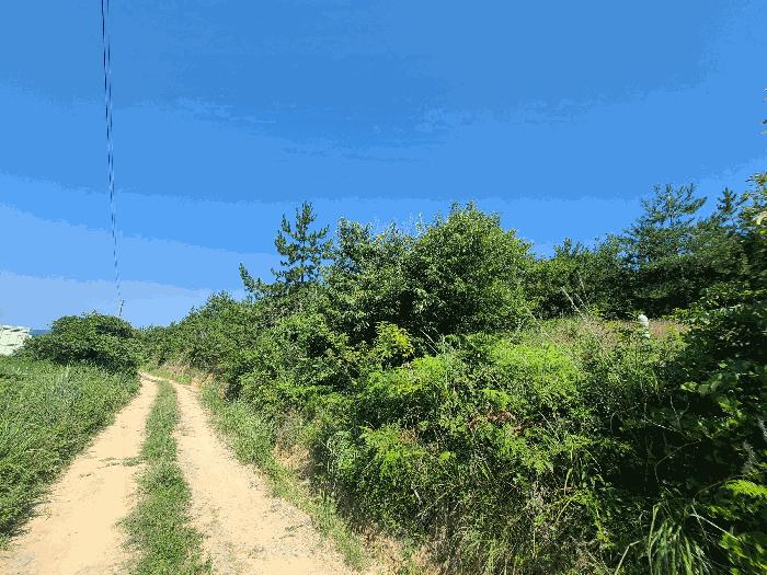 경상남도 거제시 둔덕면 학산리 산42-9 임야 경매 사진 5