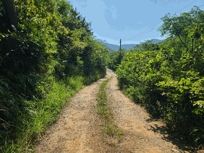 경상남도 거제시 둔덕면 학산리 산42-9 임야 경매 사진 9