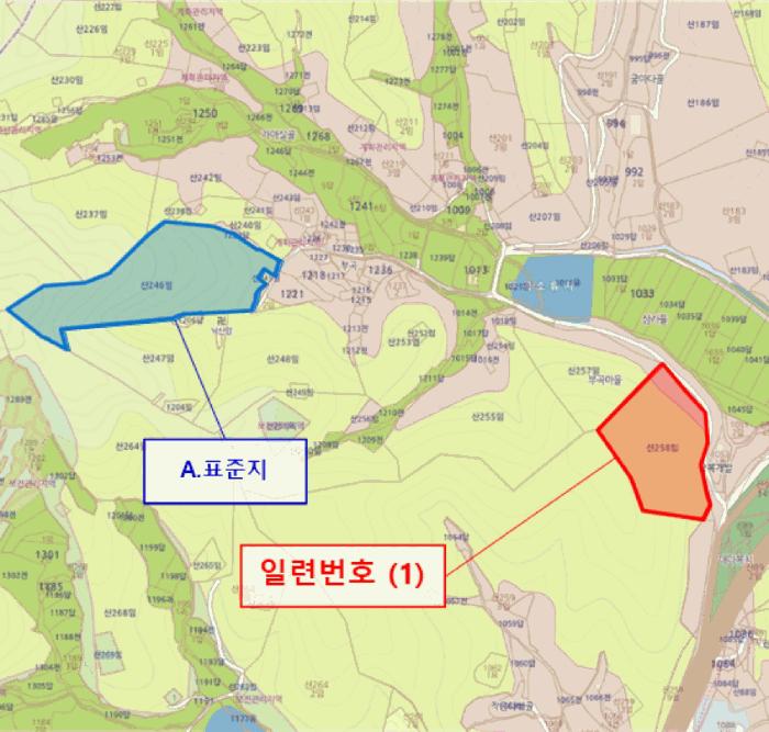 경상남도 고성군 마암면 삼락리 산258 임야 경매 사진 12
