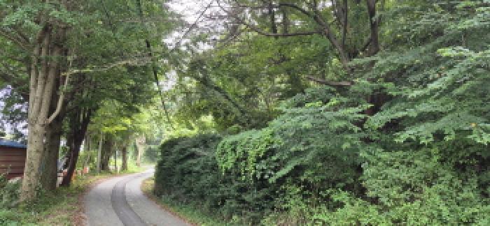 경상남도 고성군 마암면 삼락리 산258 임야 경매 사진 9