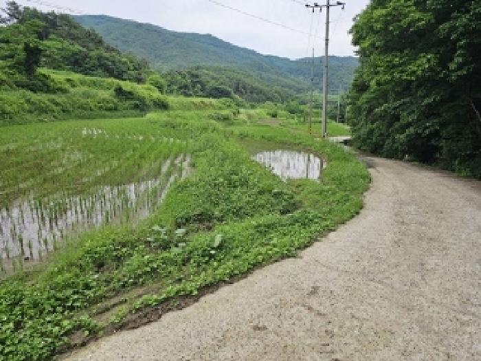 경상남도 산청군 차황면 장박리 208 전 경매 사진 5