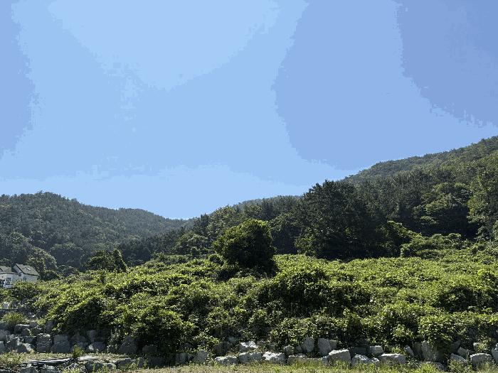 경상남도 남해군 미조면 송정리 762-1 전 경매 사진 2