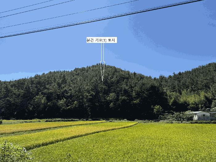 경상남도 하동군 금남면 진정리 산20-4 임야 경매 사진 1