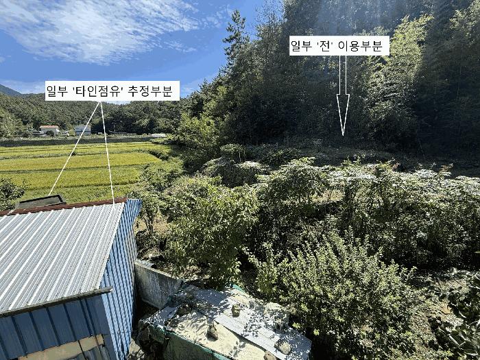 경상남도 하동군 금남면 진정리 산20-4 임야 경매 사진 2