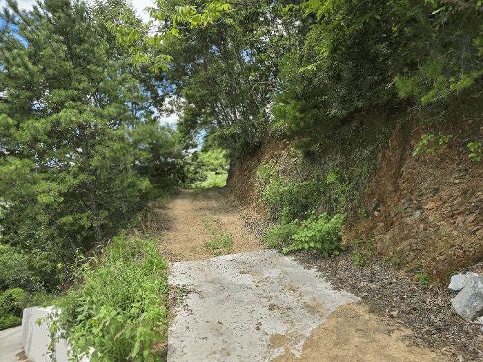경상남도 산청군 시천면 중산리 산45 임야 경매 사진 13