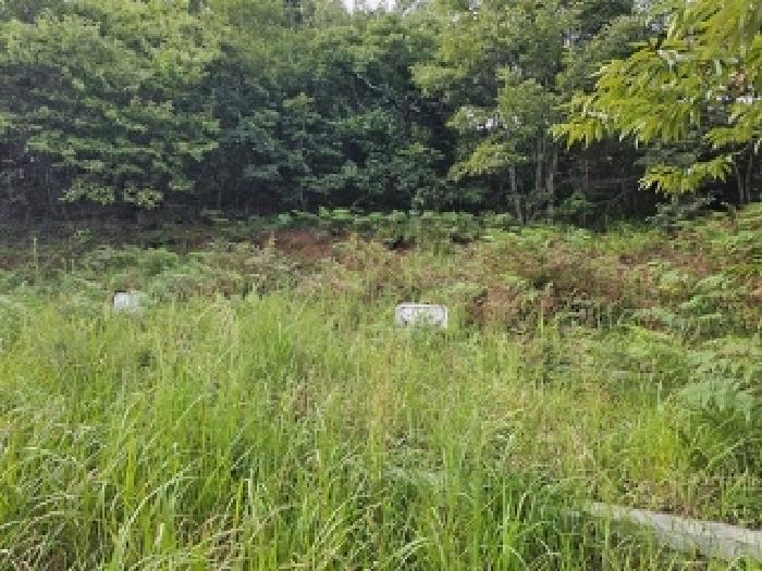 경상남도 산청군 시천면 중산리 산45 임야 경매 사진 19