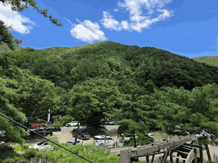 경상남도 산청군 시천면 중산리 산45 임야 경매 사진 7