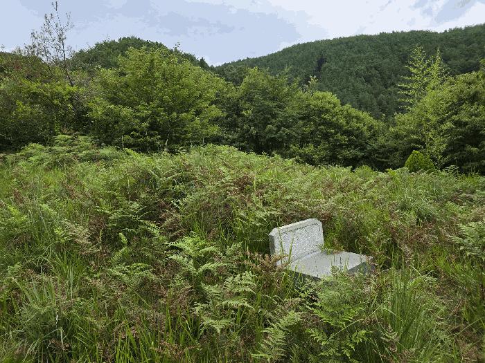 경상남도 산청군 시천면 사리 산96-1 임야 경매 사진 14
