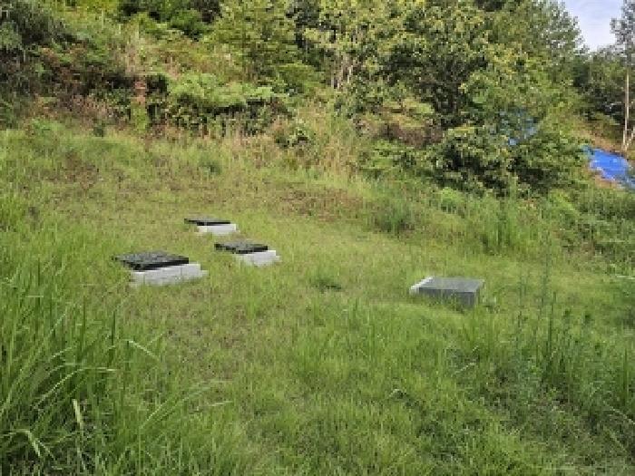 경상남도 산청군 시천면 사리 산96-1 임야 경매 사진 22