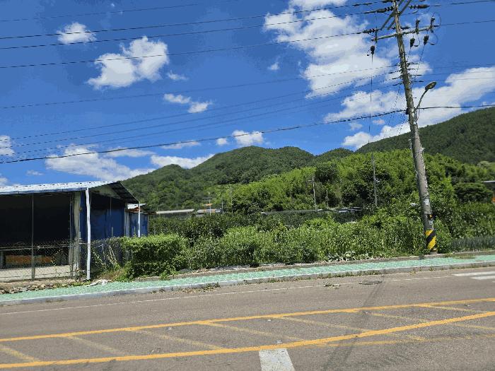 경상남도 산청군 시천면 사리 산96-1 임야 경매 사진 8