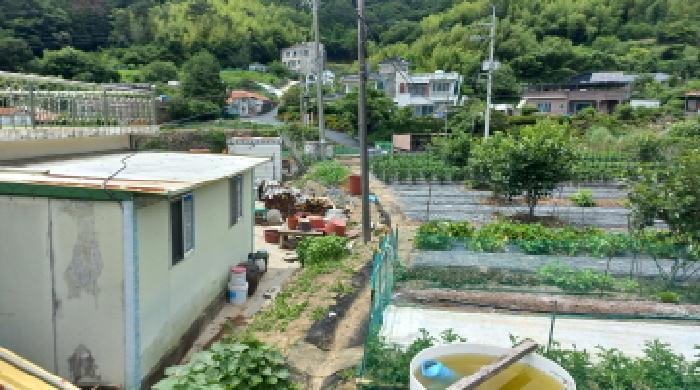 경상남도 거제시 연초면 송정리 434-1 답 경매 사진 21