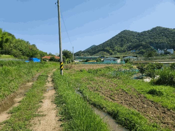 경상남도 거제시 연초면 송정리 434-1 답 경매 사진 3