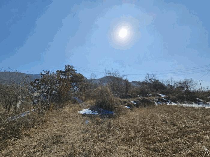강원특별자치도 영월군 북면 문곡리 산116-10 임야 경매 사진 1