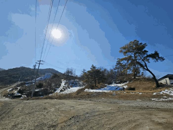 강원특별자치도 영월군 북면 문곡리 산116-10 임야 경매 사진 11
