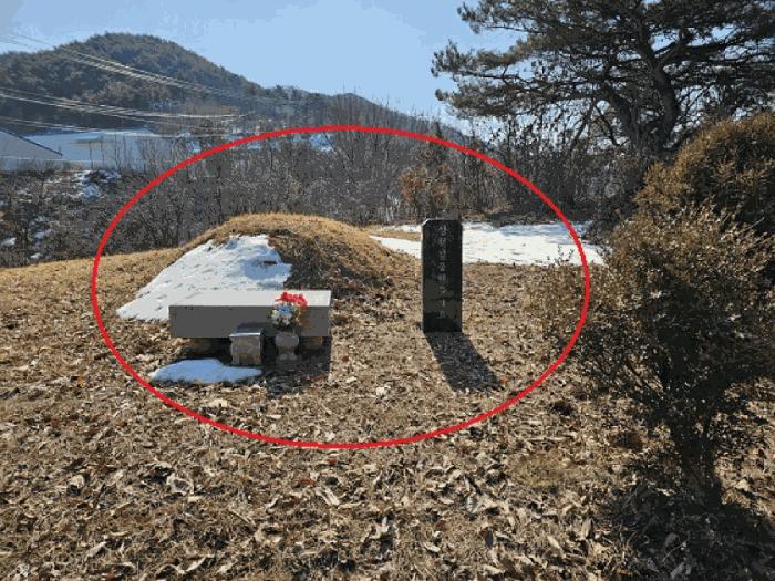강원특별자치도 영월군 북면 문곡리 산116-10 임야 경매 사진 12