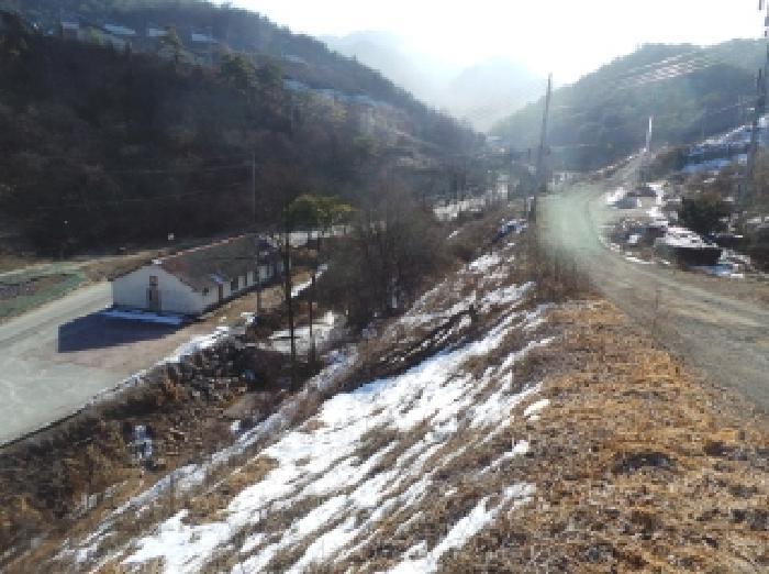 강원특별자치도 영월군 북면 문곡리 산116-10 임야 경매 사진 13