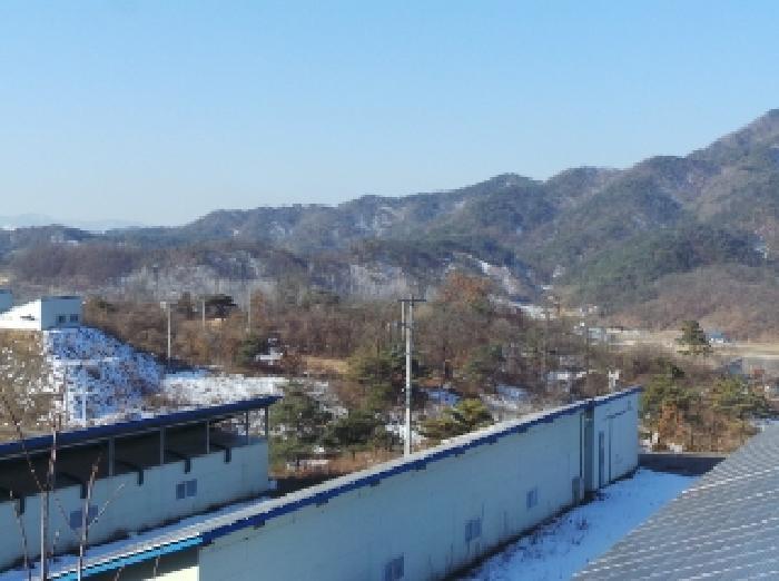 강원특별자치도 영월군 북면 문곡리 산116-10 임야 경매 사진 15