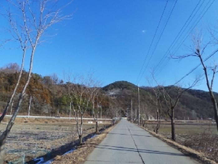 강원특별자치도 영월군 북면 문곡리 산116-10 임야 경매 사진 16