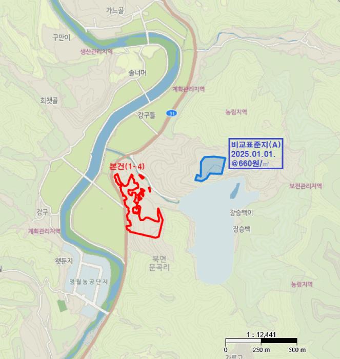 강원특별자치도 영월군 북면 문곡리 산116-10 임야 경매 사진 18