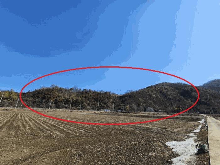 강원특별자치도 영월군 북면 문곡리 산116-10 임야 경매 사진 6