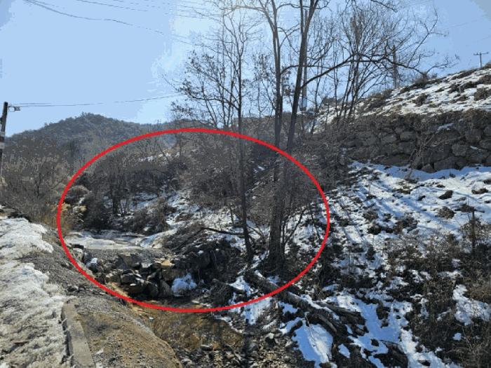 강원특별자치도 영월군 북면 문곡리 산116-10 임야 경매 사진 9