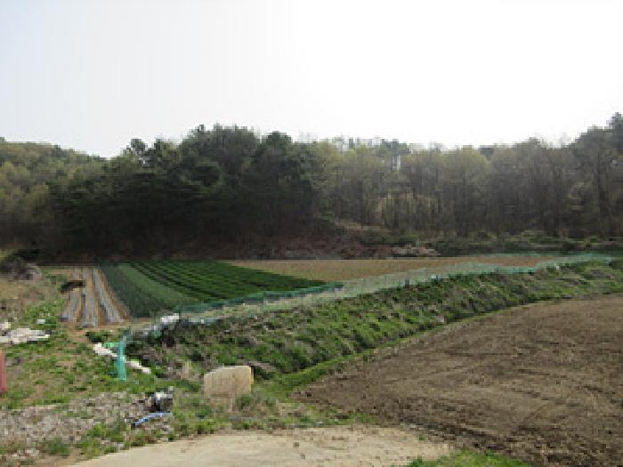 경상북도 예천군 지보면 송평리 186 전 경매 사진 3
