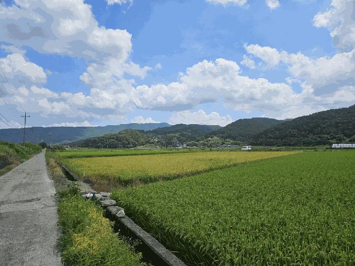 경상북도 경주시 산내면 외칠리 1009 답 경매 사진 1