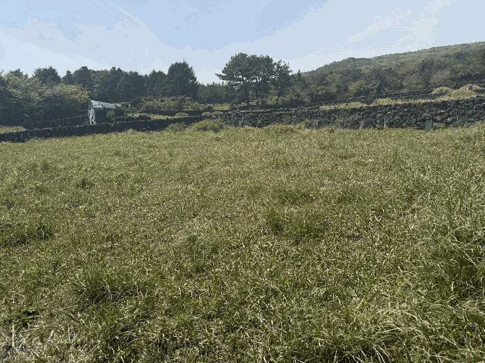 제주 서귀포시 묘지