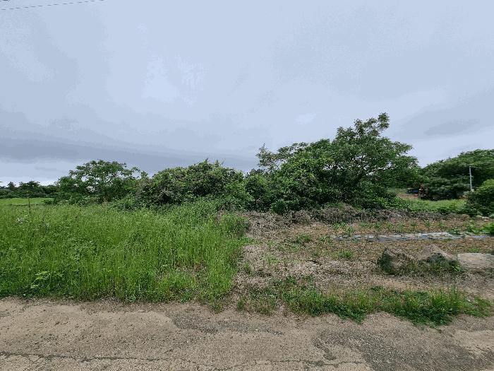 제주특별자치도 제주시 한경면 고산리 1001 전 경매 사진 2