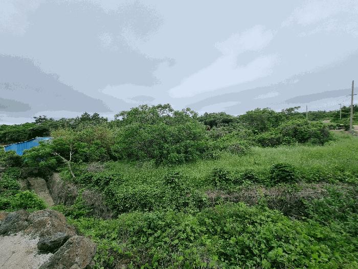 제주특별자치도 제주시 한경면 고산리 1001 전 경매 사진 4