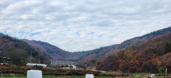 경상북도 구미시 장천면 명곡리 677 전 경매 사진 5