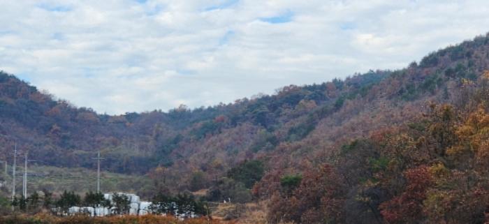 경상북도 구미시 장천면 명곡리 677 전 경매 사진 6