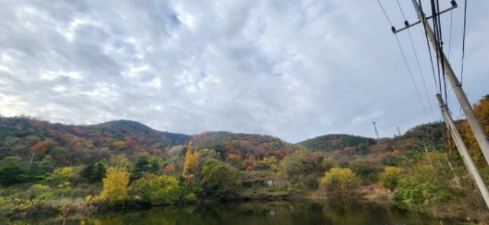 경상북도 구미시 장천면 명곡리 677 전 경매 사진 9