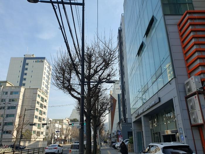 서울특별시 강동구 성내로 64, 10층1003호 (성내동,에스아이팰리스센트럴성내)구) 서울특별시 강동구 성내동 548-4 도시형생활주택 경매 사진 5