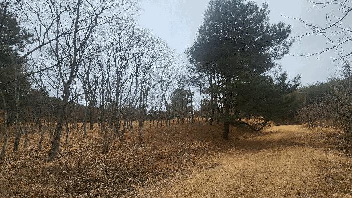 경상남도 사천시 곤명면 삼정리 산29-1 임야 경매 사진 17