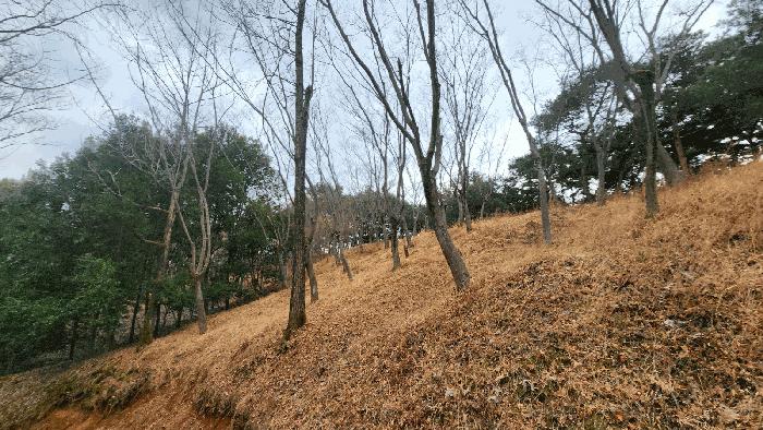 경상남도 사천시 곤명면 삼정리 산29-1 임야 경매 사진 22