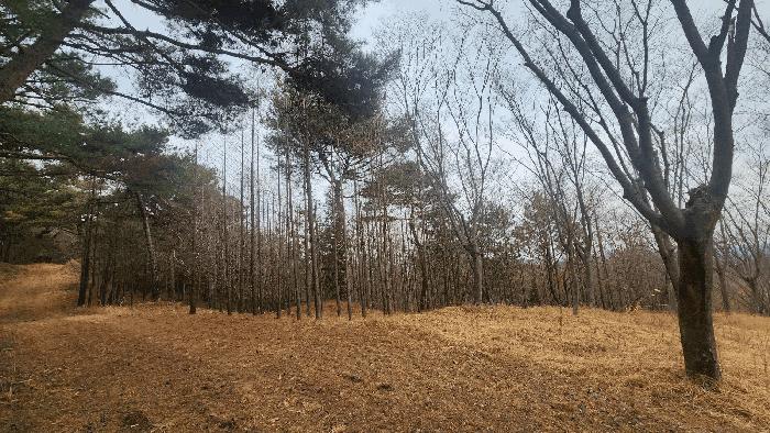 경상남도 사천시 곤명면 삼정리 산29-1 임야 경매 사진 26