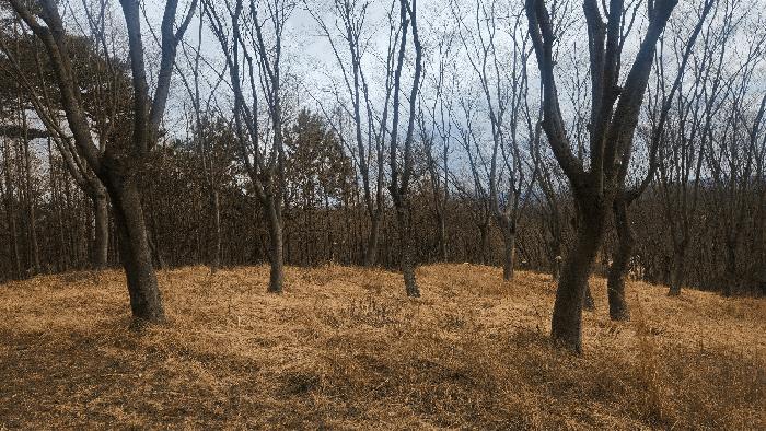 경상남도 사천시 곤명면 삼정리 산29-1 임야 경매 사진 28