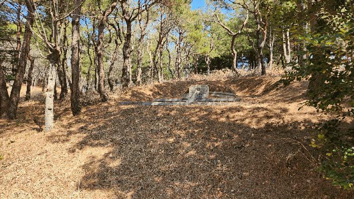 경상남도 사천시 곤명면 삼정리 산29-1 임야 경매 사진 45