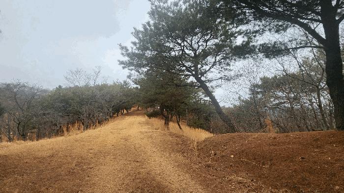 경상남도 사천시 곤명면 삼정리 산29-1 임야 경매 사진 49