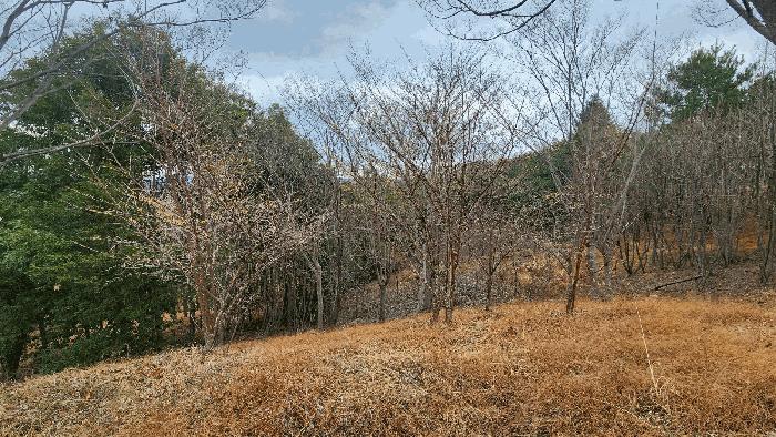 경상남도 사천시 곤명면 삼정리 산29-1 임야 경매 사진 51