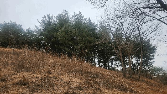 경상남도 사천시 곤명면 삼정리 산29-1 임야 경매 사진 56