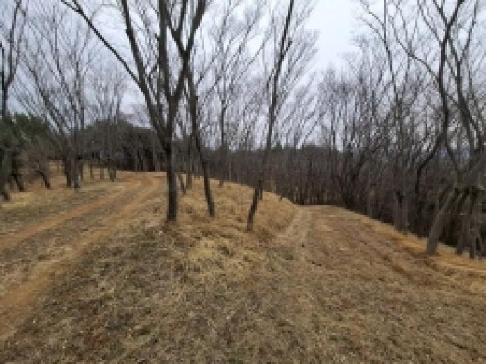 경상남도 사천시 곤명면 삼정리 산29-1 임야 경매 사진 65