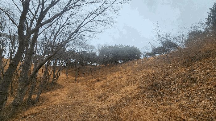경상남도 사천시 곤명면 삼정리 산29-1 임야 경매 사진 7